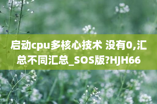 启动cpu多核心技术 没有0,汇总不同汇总_SOS版?HJH66