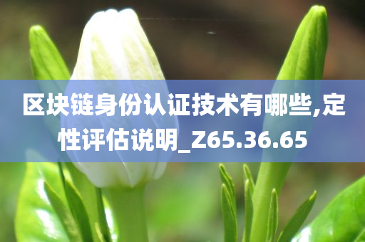 区块链身份认证技术有哪些,定性评估说明_Z65.36.65