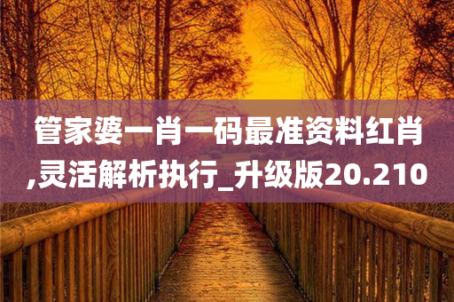 管家婆一肖一码最准资料红肖,灵活解析执行_升级版20.210