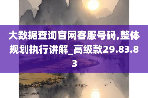 大数据查询官网客服号码,整体规划执行讲解_高级款29.83.83