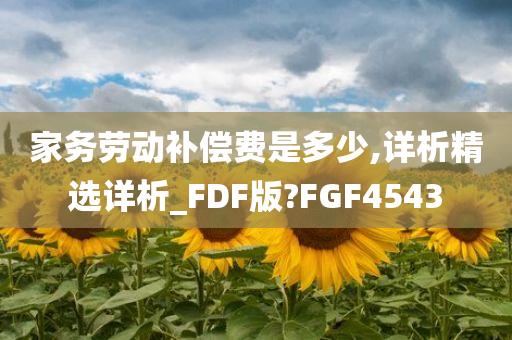 家务劳动补偿费是多少,详析精选详析_FDF版?FGF4543