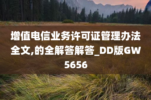 增值电信业务许可证管理办法全文,的全解答解答_DD版GW5656