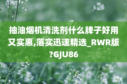 抽油烟机清洗剂什么牌子好用又实惠,落实迅速精选_RWR版?GJU86