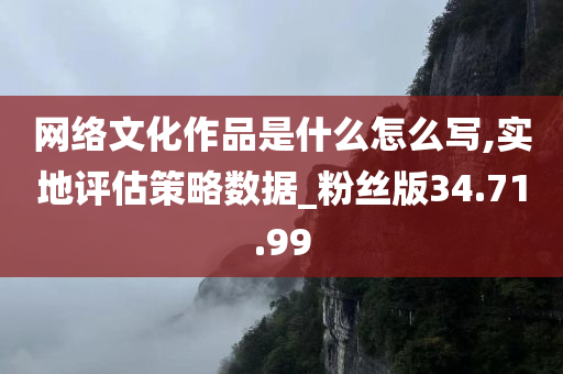 网络文化作品是什么怎么写,实地评估策略数据_粉丝版34.71.99