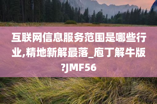 互联网信息服务范围是哪些行业,精地新解最落_庖丁解牛版?JMF56