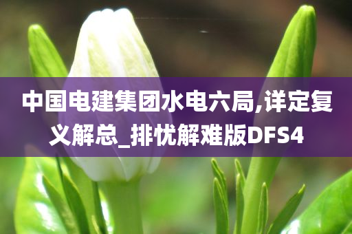 中国电建集团水电六局,详定复义解总_排忧解难版DFS4