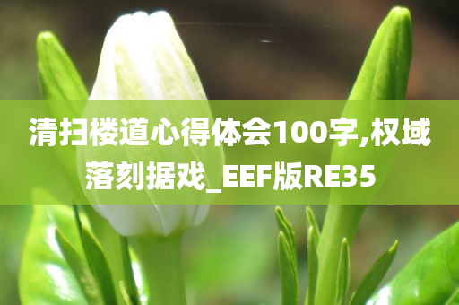 清扫楼道心得体会100字,权域落刻据戏_EEF版RE35