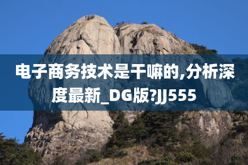 电子商务技术是干嘛的,分析深度最新_DG版?JJ555