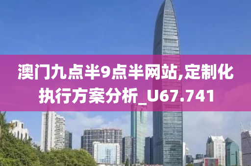 澳门九点半9点半网站,定制化执行方案分析_U67.741