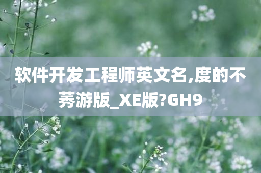 软件开发工程师英文名,度的不莠游版_XE版?GH9