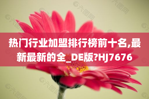 热门行业加盟排行榜前十名,最新最新的全_DE版?HJ7676