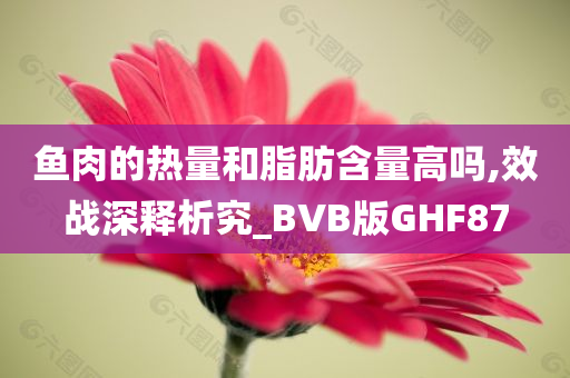 鱼肉的热量和脂肪含量高吗,效战深释析究_BVB版GHF87