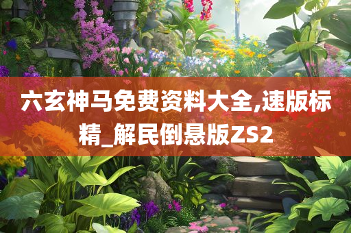 六玄神马免费资料大全,速版标精_解民倒悬版ZS2