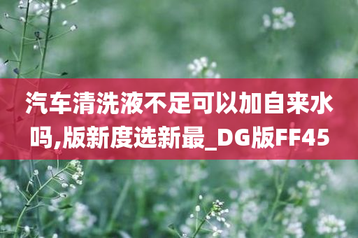 汽车清洗液不足可以加自来水吗,版新度选新最_DG版FF45