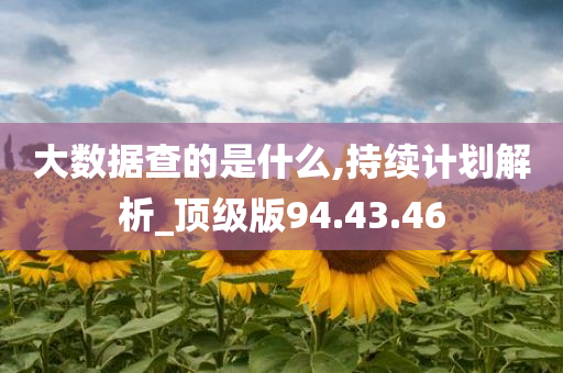 大数据查的是什么,持续计划解析_顶级版94.43.46