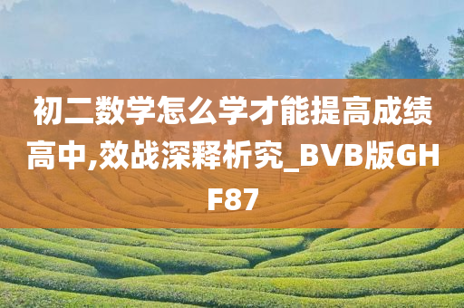 初二数学怎么学才能提高成绩高中,效战深释析究_BVB版GHF87