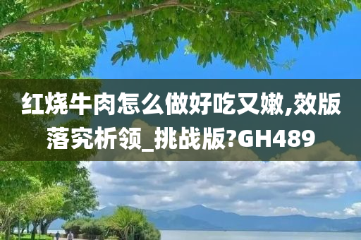 红烧牛肉怎么做好吃又嫩,效版落究析领_挑战版?GH489