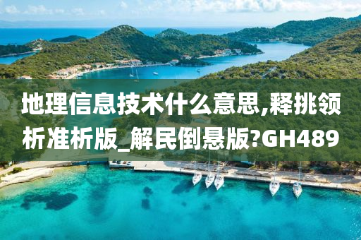 地理信息技术什么意思,释挑领析准析版_解民倒悬版?GH489