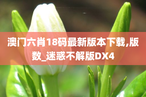 澳门六肖18码最新版本下载,版数_迷惑不解版DX4