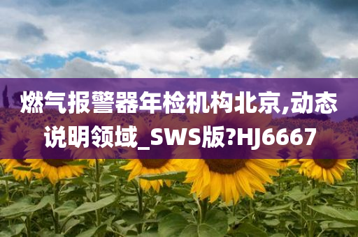 燃气报警器年检机构北京,动态说明领域_SWS版?HJ6667