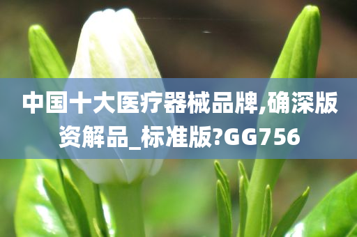 中国十大医疗器械品牌,确深版资解品_标准版?GG756