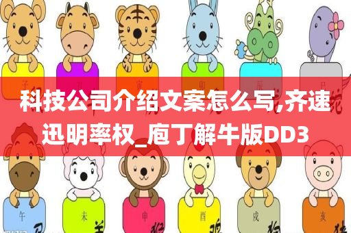 科技公司介绍文案怎么写,齐速迅明率权_庖丁解牛版DD3