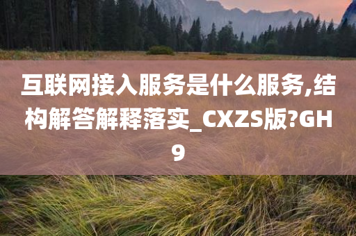 互联网接入服务是什么服务,结构解答解释落实_CXZS版?GH9