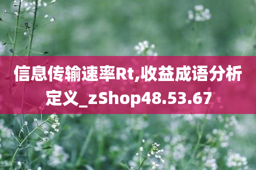 信息传输速率Rt,收益成语分析定义_zShop48.53.67