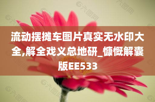 流动摆摊车图片真实无水印大全,解全戏义总地研_慷慨解囊版EE533