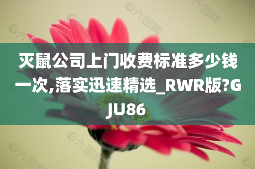 灭鼠公司上门收费标准多少钱一次,落实迅速精选_RWR版?GJU86