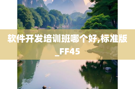 软件开发培训班哪个好,标准版_FF45