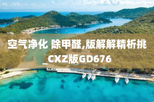 空气净化 除甲醛,版解解精析挑_CXZ版GD676