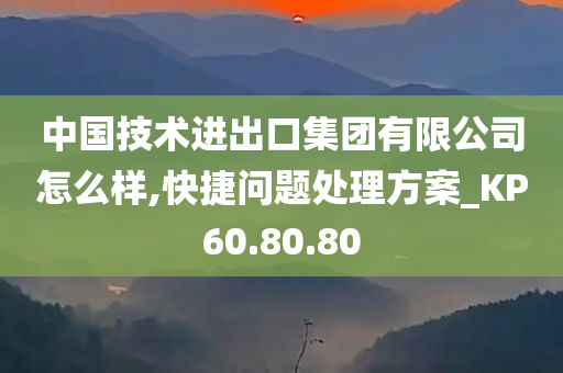 中国技术进出口集团有限公司怎么样,快捷问题处理方案_KP60.80.80