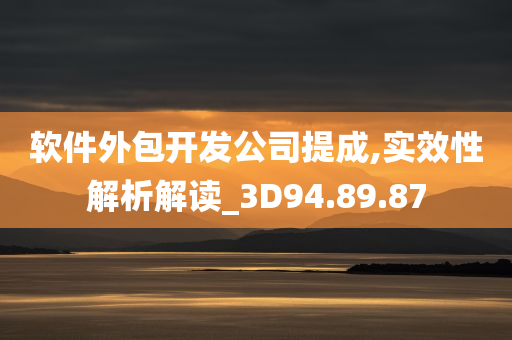 软件外包开发公司提成,实效性解析解读_3D94.89.87