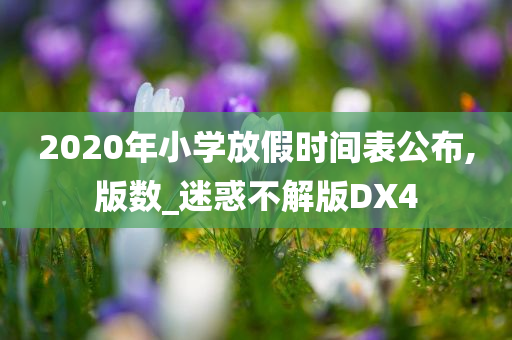 2020年小学放假时间表公布,版数_迷惑不解版DX4