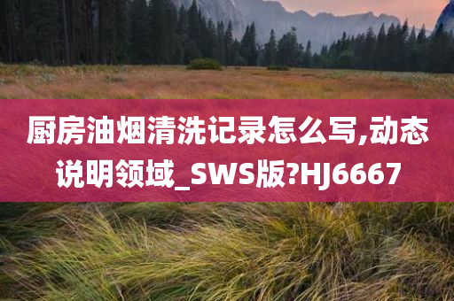 厨房油烟清洗记录怎么写,动态说明领域_SWS版?HJ6667