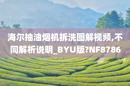 海尔抽油烟机拆洗图解视频,不同解析说明_BYU版?NF8786