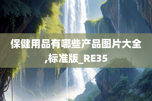 保健用品有哪些产品图片大全,标准版_RE35