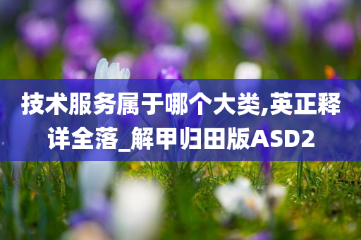 技术服务属于哪个大类,英正释详全落_解甲归田版ASD2