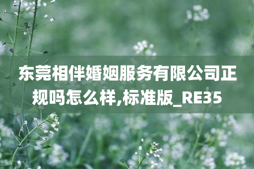 东莞相伴婚姻服务有限公司正规吗怎么样,标准版_RE35