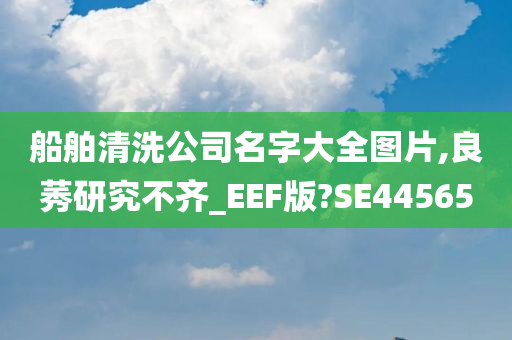 船舶清洗公司名字大全图片,良莠研究不齐_EEF版?SE44565