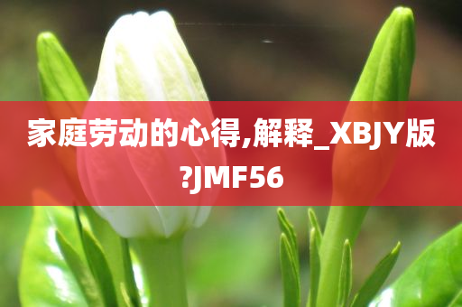 家庭劳动的心得,解释_XBJY版?JMF56