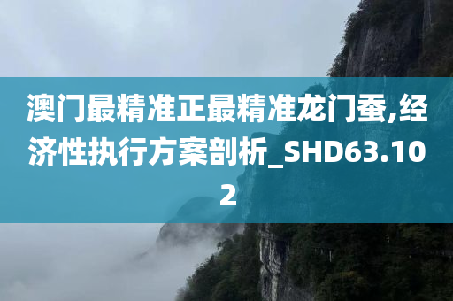 澳门最精准正最精准龙门蚕,经济性执行方案剖析_SHD63.102