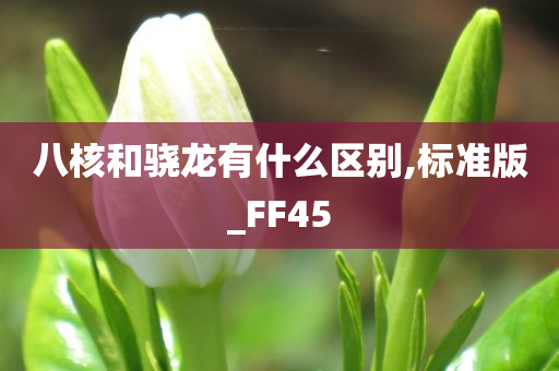 八核和骁龙有什么区别,标准版_FF45