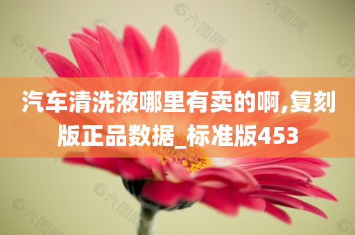 汽车清洗液哪里有卖的啊,复刻版正品数据_标准版453