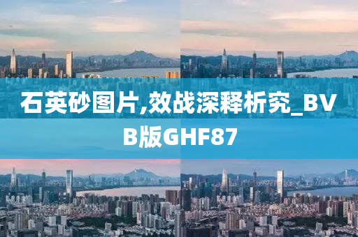 石英砂图片,效战深释析究_BVB版GHF87