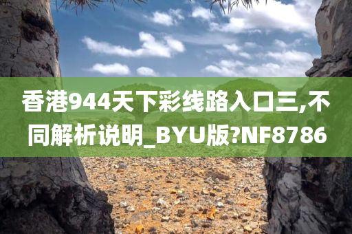 香港944天下彩线路入口三,不同解析说明_BYU版?NF8786