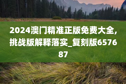 2024澳门精准正版免费大全,挑战版解释落实_复刻版657687