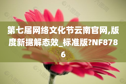 第七届网络文化节云南官网,版度新据解态效_标准版?NF8786