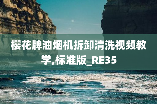 樱花牌油烟机拆卸清洗视频教学,标准版_RE35